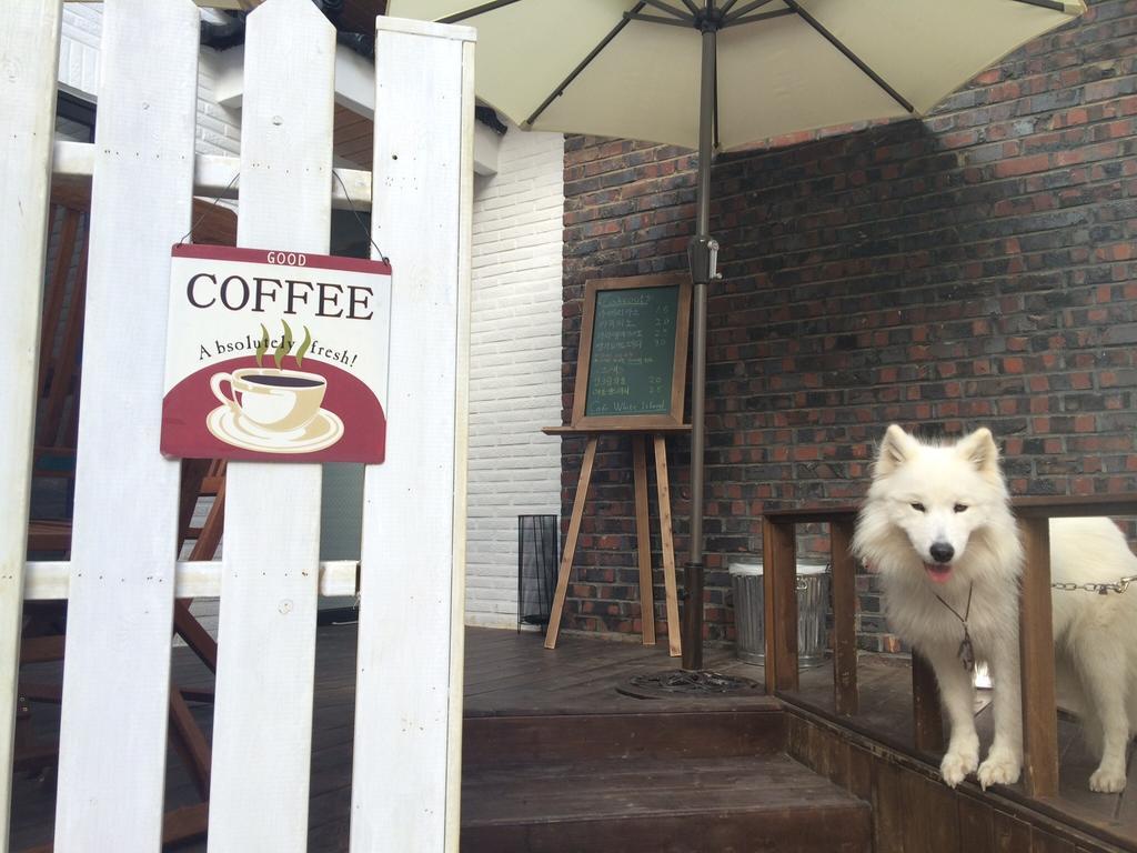 White Island Bed & Breakfast Hostel Busan Exterior photo